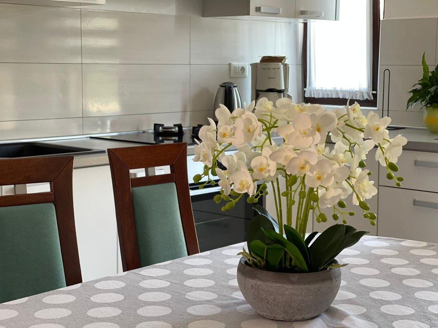 Apartment Bilja Рогозница Экстерьер фото