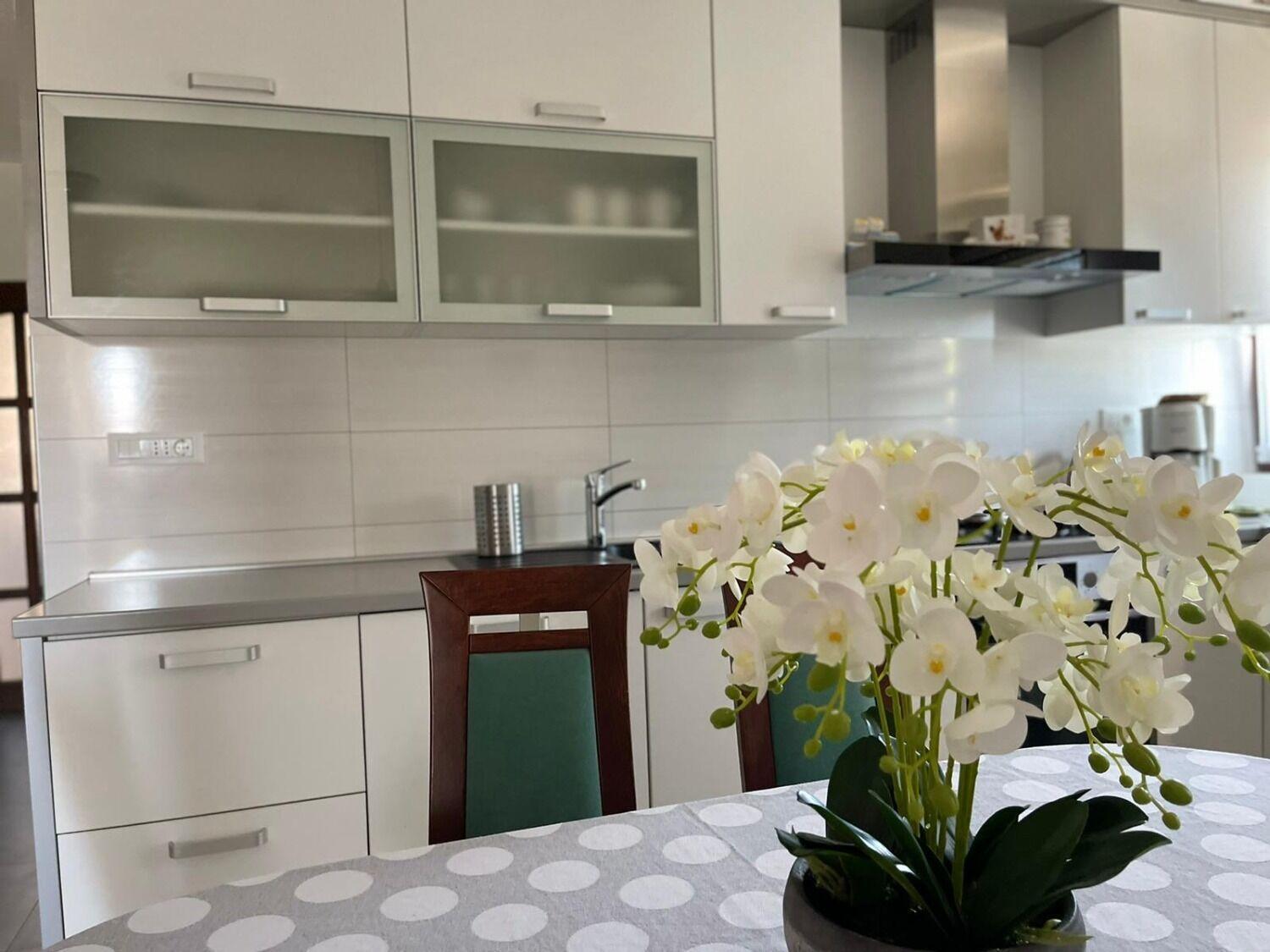 Apartment Bilja Рогозница Экстерьер фото